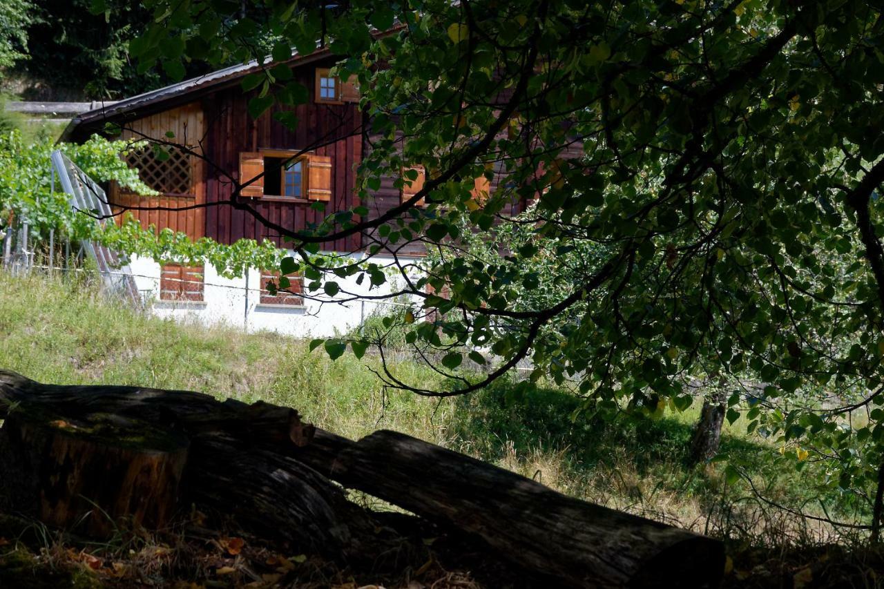 Landhaus Tenne Bartholomäberg Exterior photo